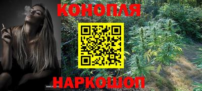дмт Заводоуковск