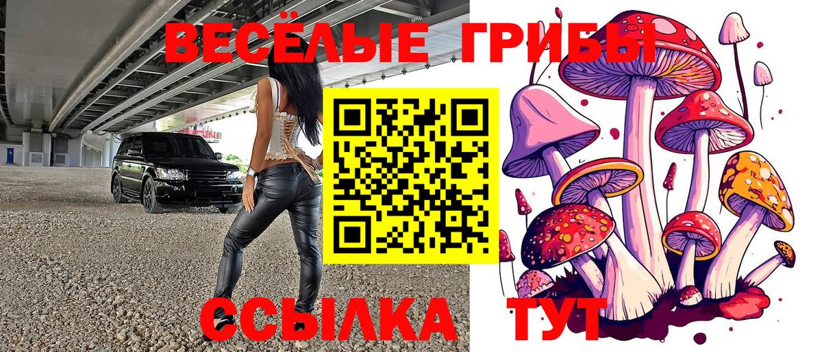 Ленинск-Кузнецкий  Псилоцибиновые грибы мицелий  Вход с VPN  Галлюциногенные грибы Psilocybe 